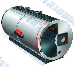 VIESSMANN Vitomax 300-LT
